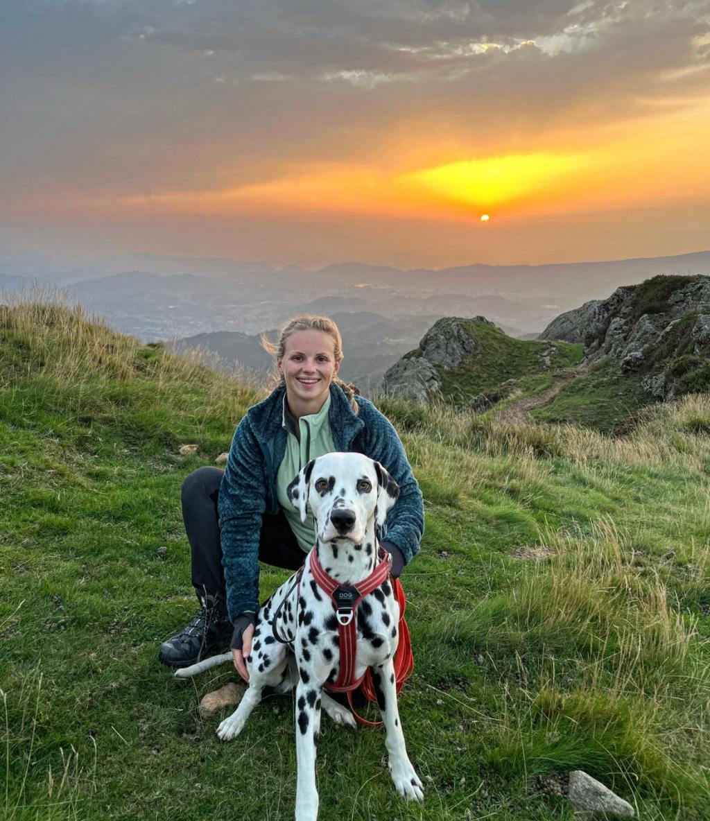Ostéopathe pour animaux dans les Landes et le&nbsp;Pays-basque